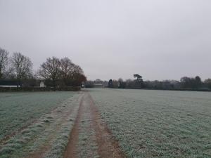 A path through a frosty field.